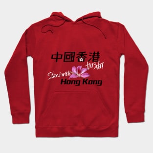 Stand with Hong Kong, China - 中國香港加油 Hoodie